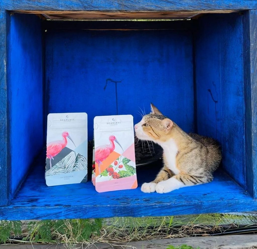 custom printed packaging